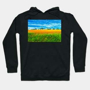 Summer Country Scene Hoodie